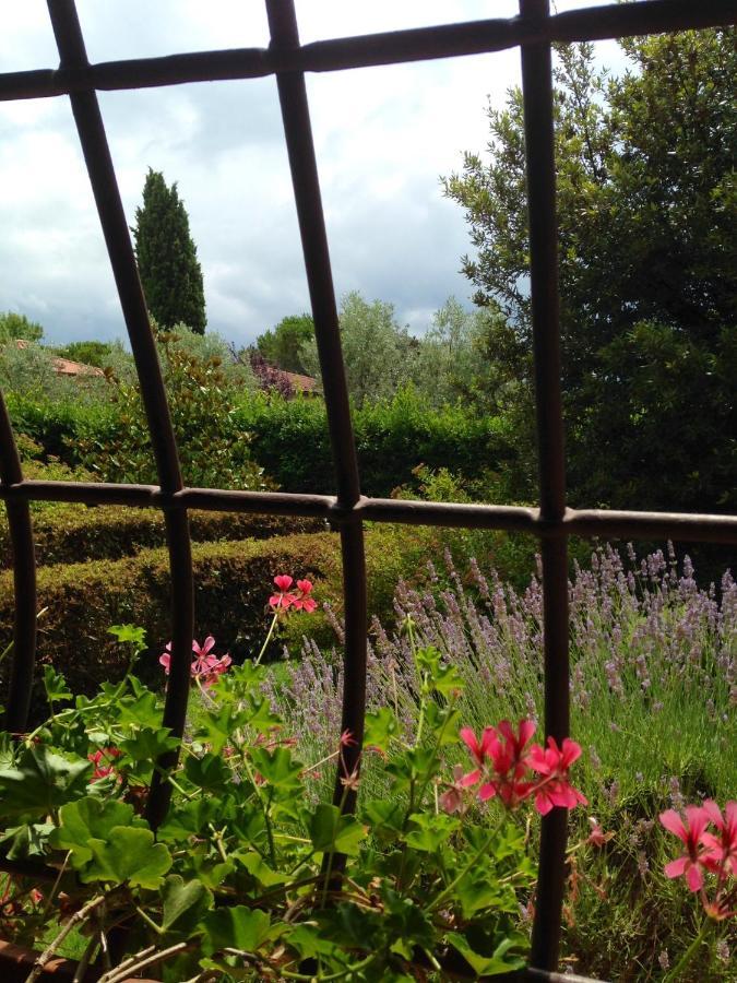 Rosso Del Chianti Bed and Breakfast Panzano in Chianti Eksteriør billede